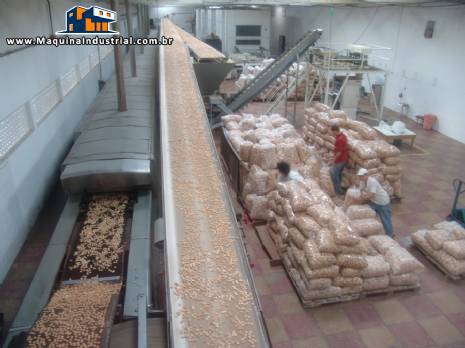 Linha automatizada para produ��o de biscoitos capacidade 800 kg / h