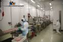 Linha completa para empanados nuggets, steak, tirinhas, hamb�rguer 500 kg CFS FMC Chiachiera