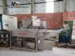 Lavadora cont�nua em inox de hortali�as verduras folhas duplo est�gio Incalfer