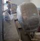 Drageadeira em a�o inox 150 kg por hora